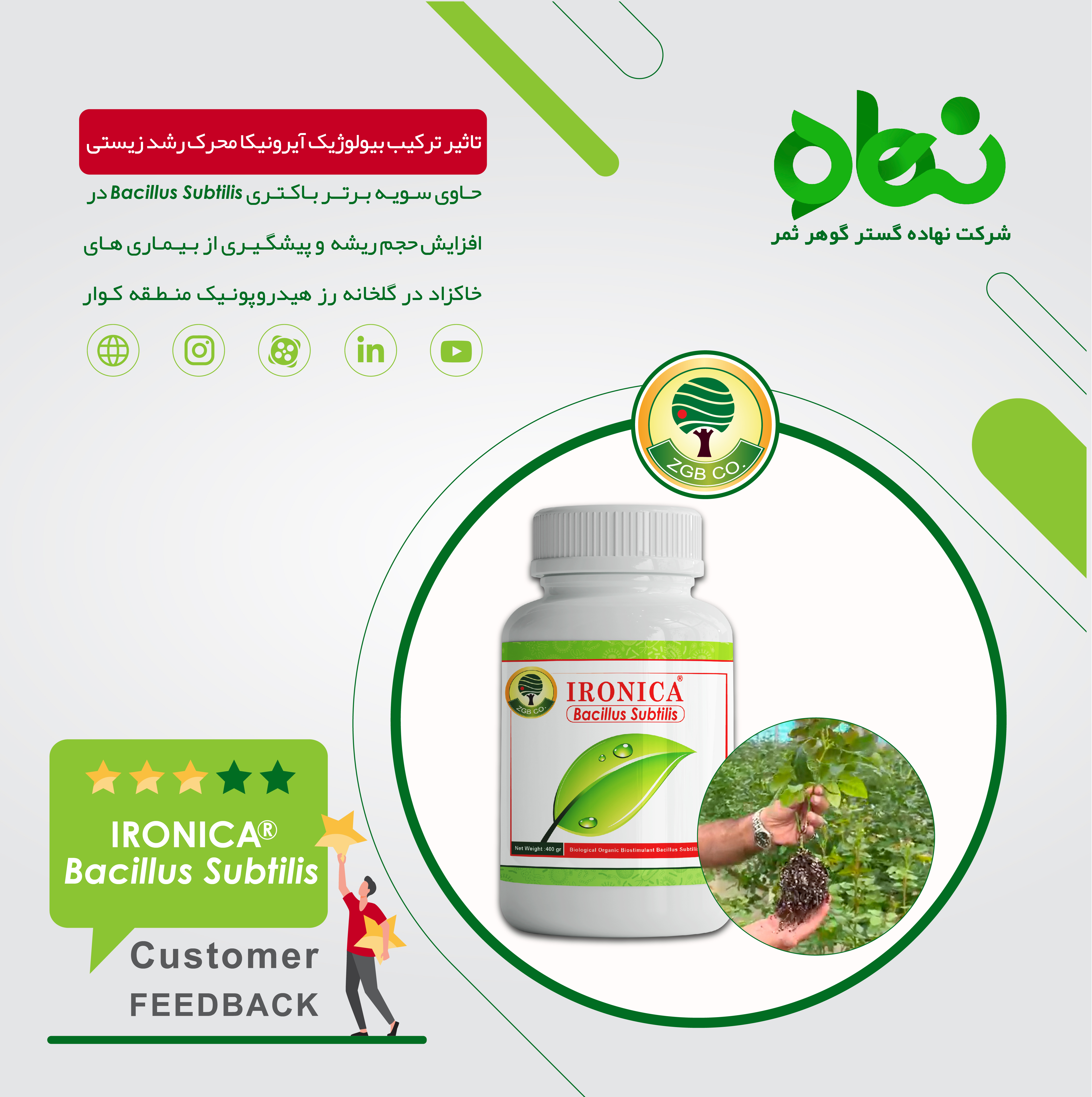 The effect of the biological composition Ironica